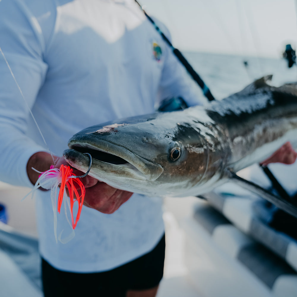 Offshore Bundle - Lures, Terminal, Line & Tackle - Toadfish -