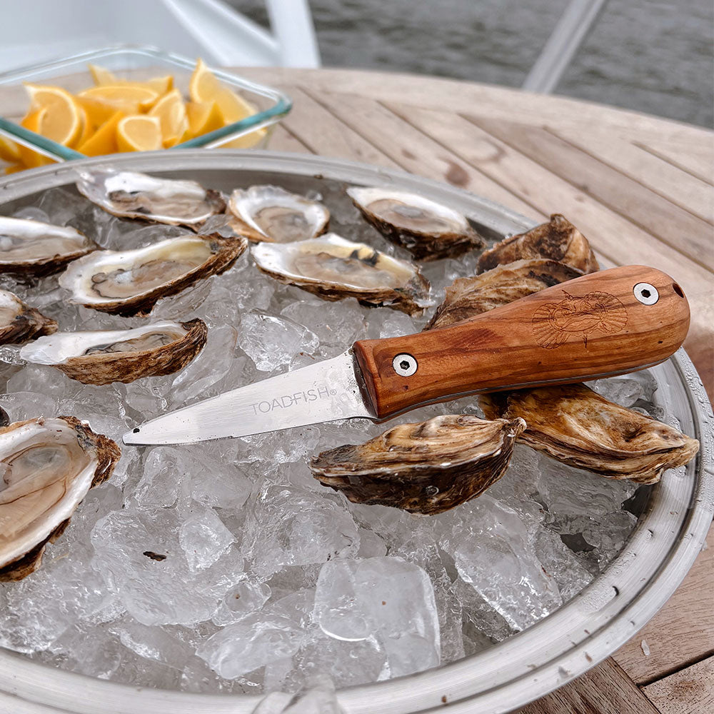Olive Wood Oyster Knife - Toadfish - Oyster Knife