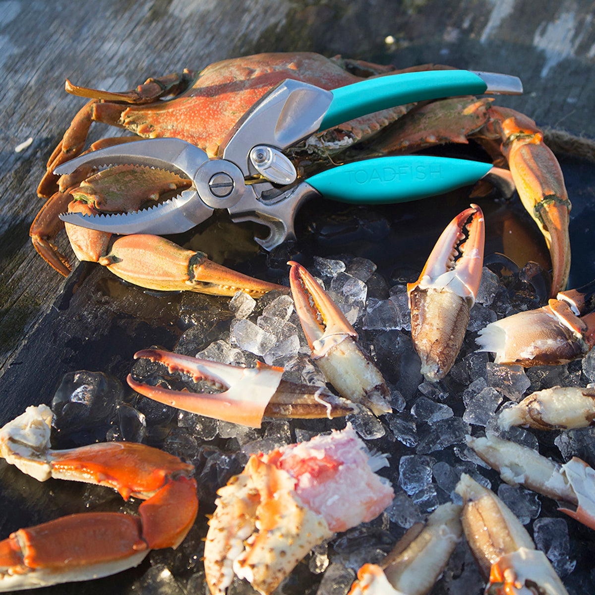 Crab Claw Cutter Kitchen Tools & Utensils Toadfish