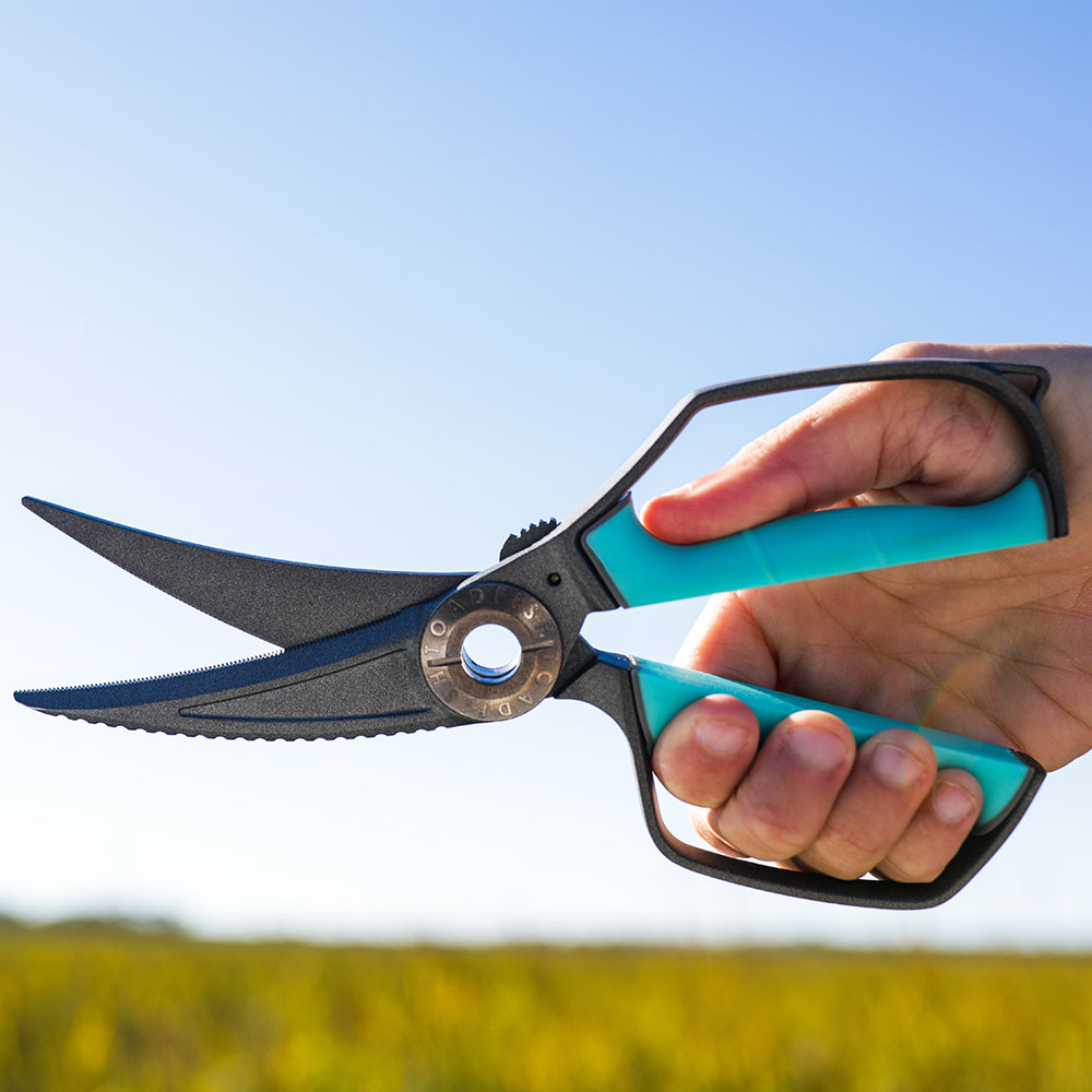 From the Water to the Kitchen: Discover the Versatility of Toadfish's Ultimate Shears