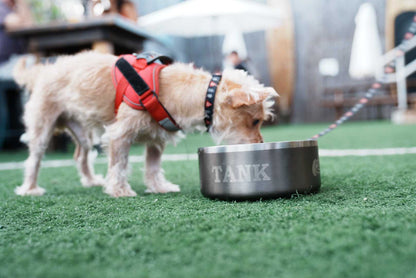 Custom Engraved Dog Bowl (TEST) - Toadfish - Smartgrip Tumblers