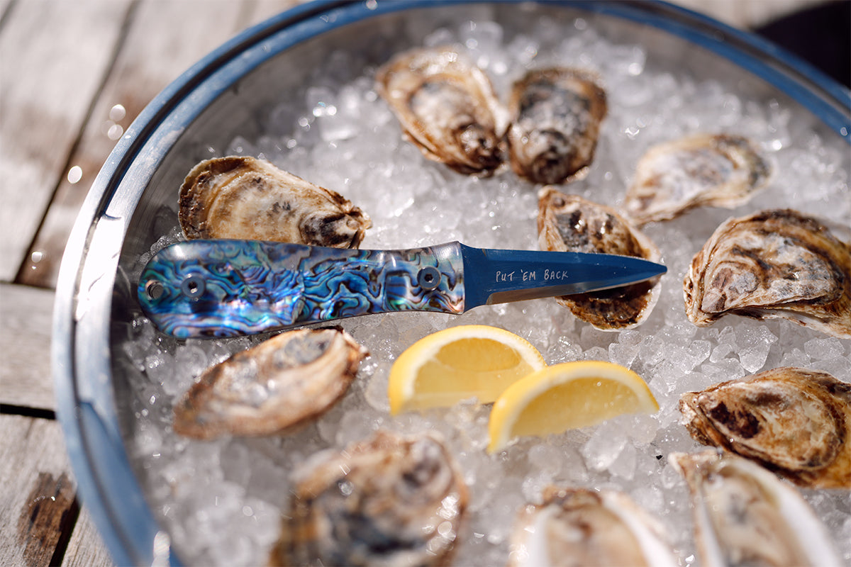 Abalone Oyster Knife - Toadfish - Oyster Knife