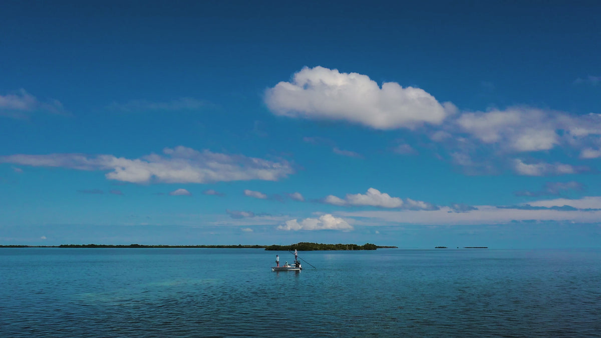 Load video: Toadfish | Inshore Fishing Series