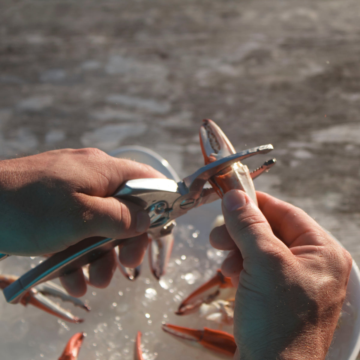 Crab Claw Cutter Kitchen Tools & Utensils Toadfish 